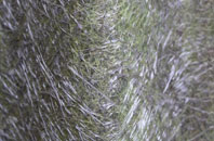 Milston fibreglass roof work